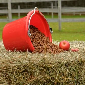 FURAJE ȘI SUPLIMENTE PENTRU CAI