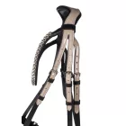 Căpăstru – Limone Elegant