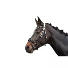 Căpăstru – Limone Elegant