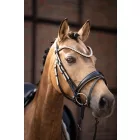 Căpăstru – Limone Elegant