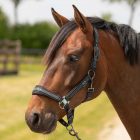 Equestrian Society – căpăstru de grajd cu funie de conducere (halter și lead rope)