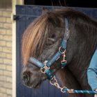 Equestrian Society – căpăstru de grajd cu funie de conducere (halter și lead rope)