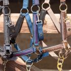 Equestrian Society – căpăstru de grajd cu funie de conducere (halter și lead rope)