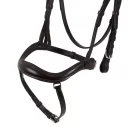 Zăbala anatomică Allegoria