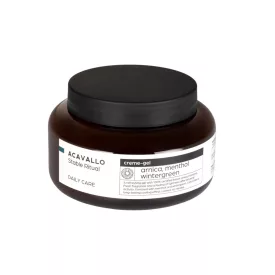 Arnica 90 cu menthol 500ml