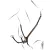 Presen Equestro rose gold cu martingală - Cob, negru