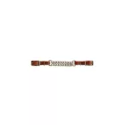 Struna cu două lanțuri