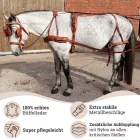 Ham atelaje Eposita Anatomic Style, maro - Ponei