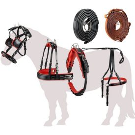   Ham Eposita "Professional" de culoarea negru-roșu - Mini Shetland