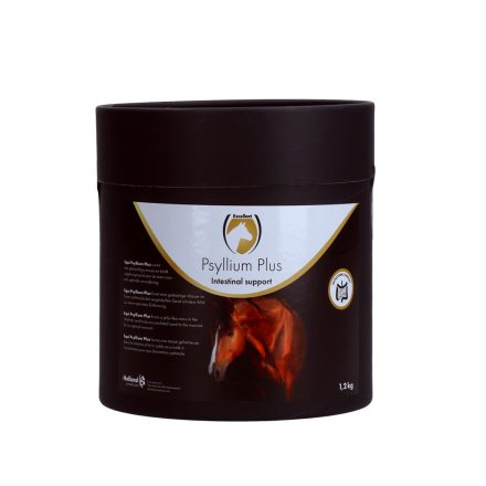 Supliment îndepărtarea nisipului / EQUI PSYLIUM PLUS 1,2 kg