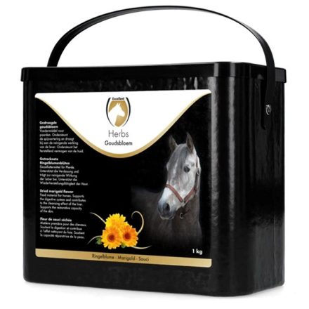 Calendula plantă medicinală