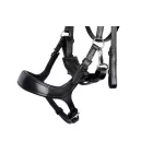 Frâu Harry's Horse Release