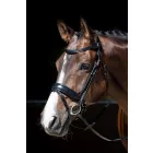 Frâu Harry's Horse Foramen Free