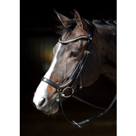 Frâu anatomic Harry's Horse rosegold