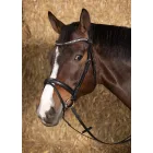 Frâu Harry's Horse Nero