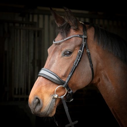 Frâu Harry's Horse Liberty Soft