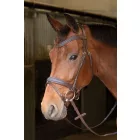 Frâu Harry's Horse Havanna