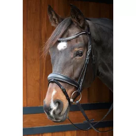 Frâu Harry's Horse Petit Crystal