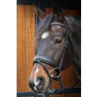 Frâu Harry's Horse Bombastic Black