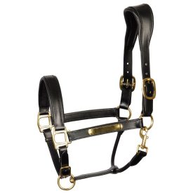 Căpăstru din piele gravabil Harry's Horse