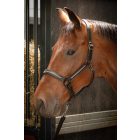 Căpăstru din piele cu strasuri Harry's Horse