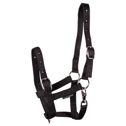 Căpăstru pentru mânz Harry's Horse