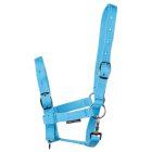 Căpăstru pentru mânz Harry's Horse