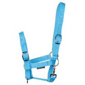 Căpăstru pentru mânz Harry's Horse