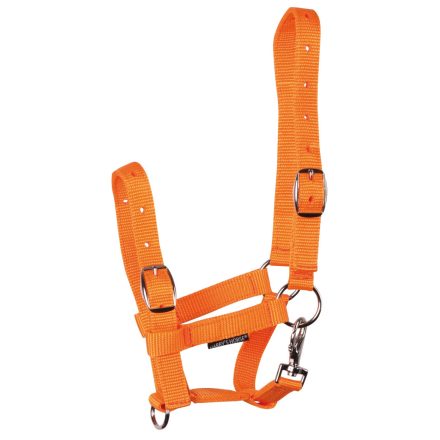 Căpăstru pentru mânz Harry's Horse