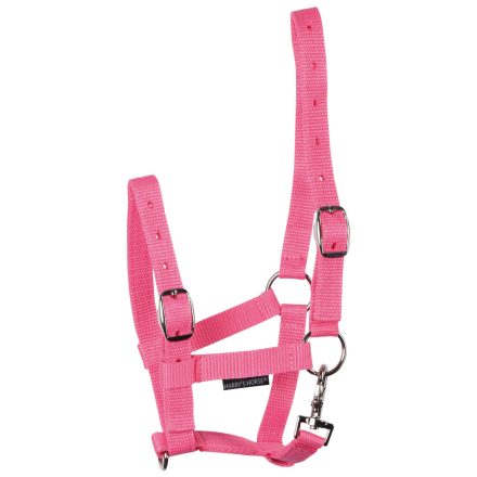 Căpăstru pentru mânz Harry's Horse