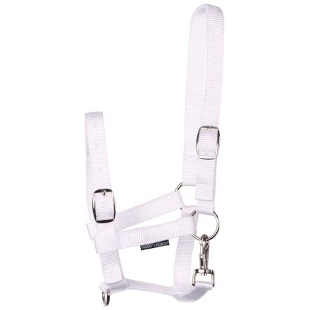 Căpăstru pentru mânz Harry's Horse