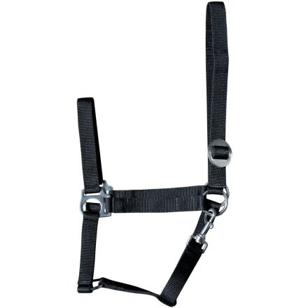 Căpăstrul economic pentru calul lui Harry