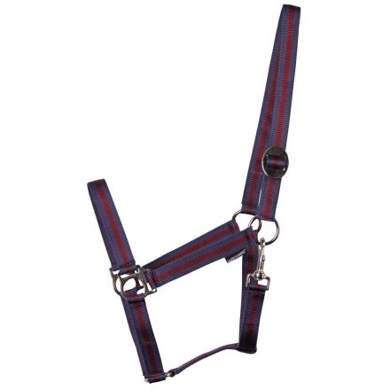 Căpăstrul economic pentru calul lui Harry