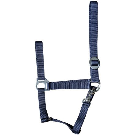 Căpăstrul economic pentru calul lui Harry