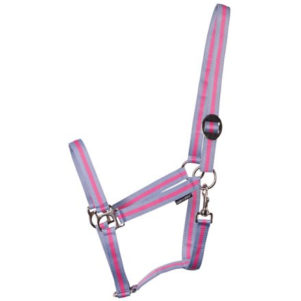 Căpăstrul economic pentru calul lui Harry