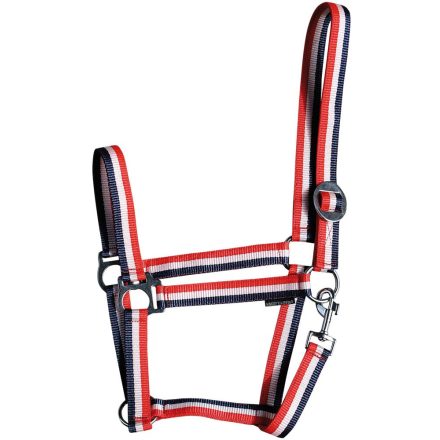 Căpăstrul economic pentru calul lui Harry