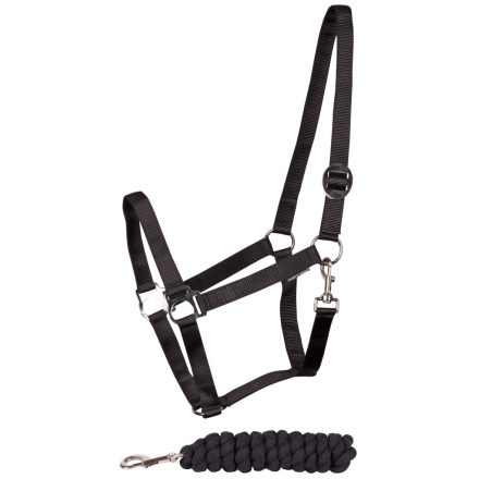 Căpăstru și bară de plumb Harry's Horse Initial