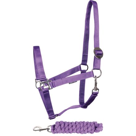 Căpăstru și bară de plumb Harry's Horse Initial