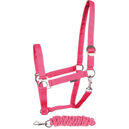 Căpăstru și bară de plumb Harry's Horse Initial