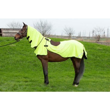 Pătură de muște reflectorizant, pentru antrenamente Harry's Horse Mesh Pro