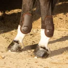 Cositori Harry's Horse Percy Air