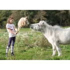 Leggings de călărie cu silicon HKM Lola, pentru copii - 110/116
