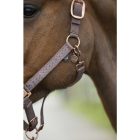 Frâne de legătură HKM Amelie - Shetland