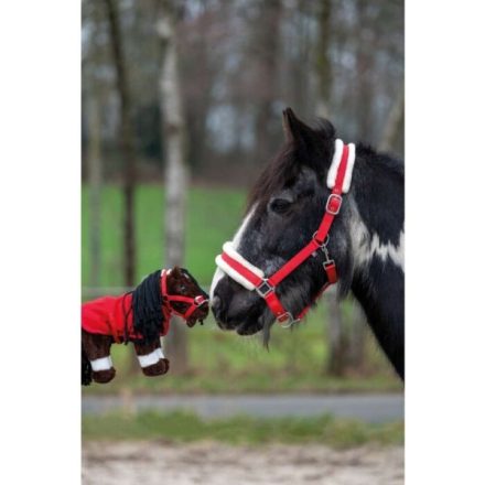 HKM Cuddle Pony Starter szett