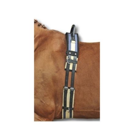 HKM Comfort Reddy chingă pentru lonjare