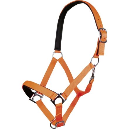 Căpăstru HKM Stars Softice