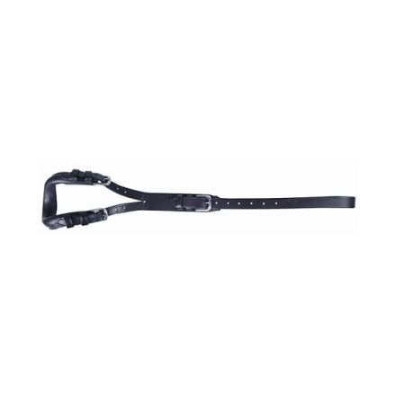 HKM codar Shetty/Pony