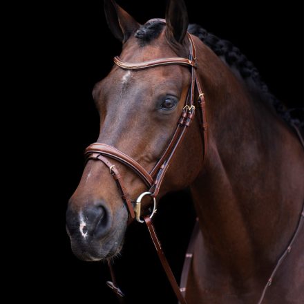 Frâu HV Polo HVPLegacy - cob, negru