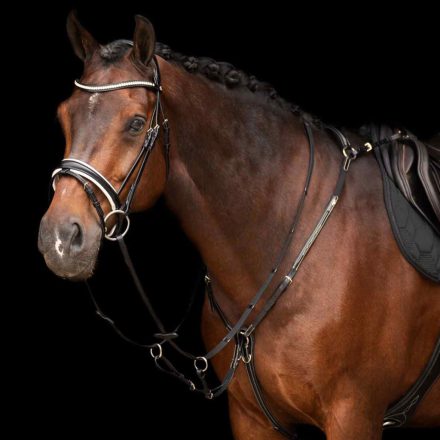 HV Polo HVP Legacy Presen cu martingală- Cob, negru