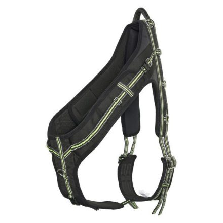 Imperial Riding lesă pentru lonjare